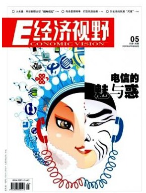 经济视野