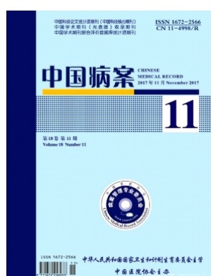 中国病案