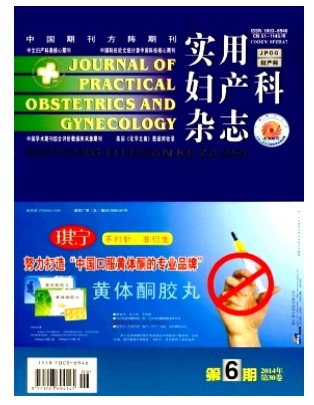实用妇产科