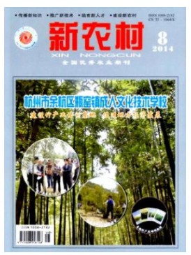 新农村