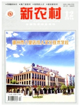 新农村