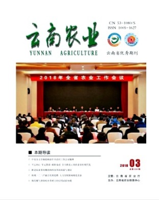 云南农业