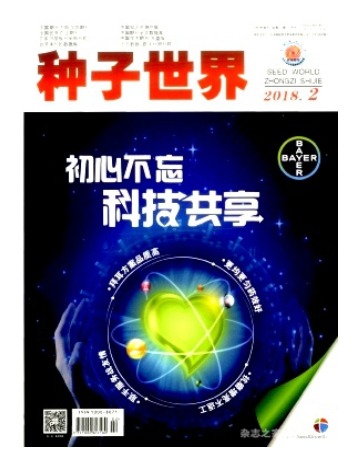 种子世界