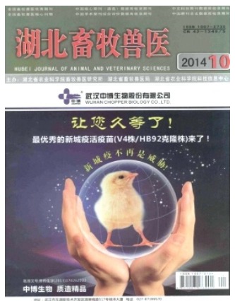 湖北畜牧兽医