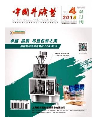 中国井矿盐