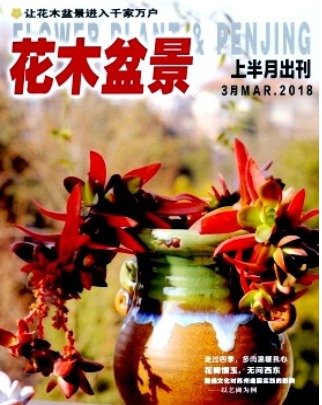 花木盆景