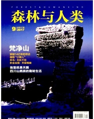 森林与人类
