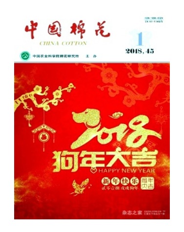 中国棉花