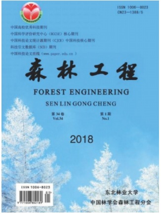 森林工程