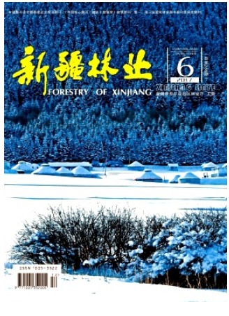 新疆林业