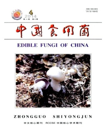 中国食用菌