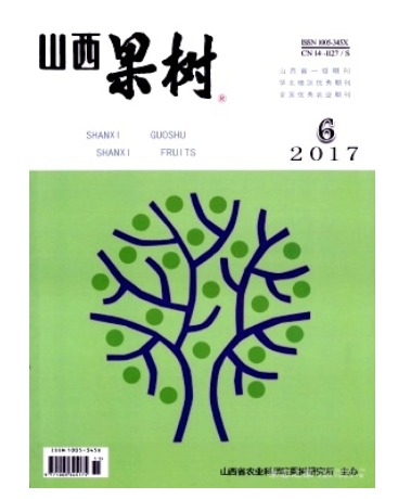 山西果树