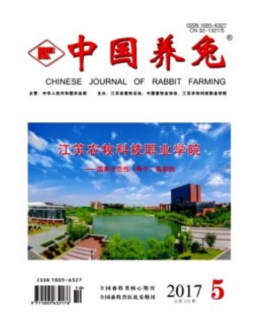 中国养兔
