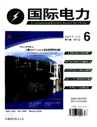 国际电力