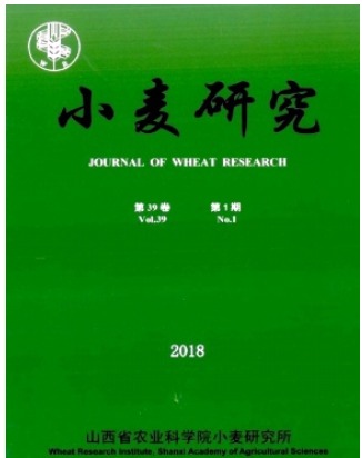 小麦研究