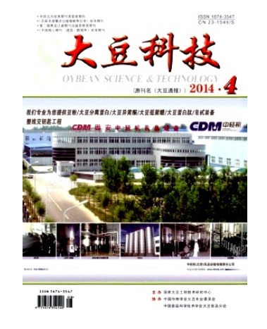 大豆科技