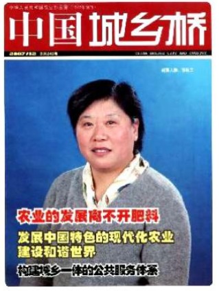 中国.城乡桥