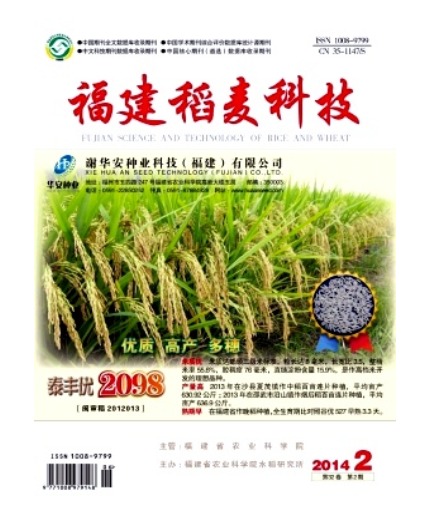 福建稻麦科技
