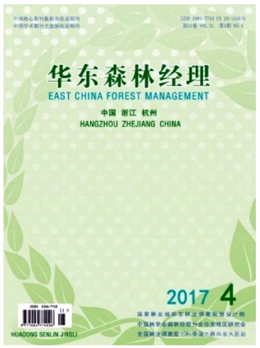 华东森林经理
