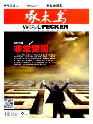 啄木鸟