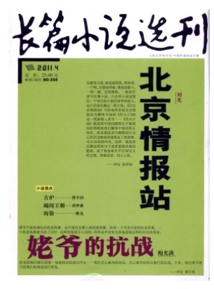 长篇小说选刊