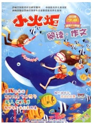 小火炬