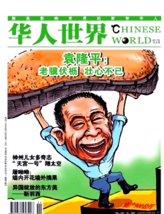 华人世界