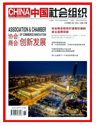 中国社会组织