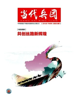 当代兵团