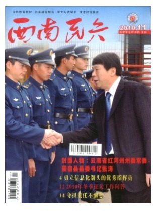西南民兵