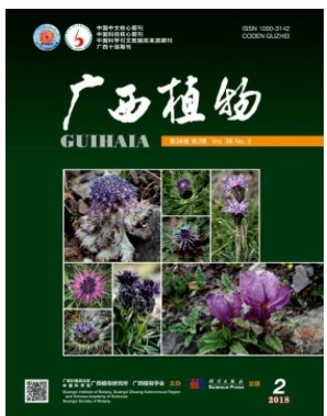 广西植物