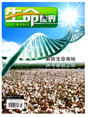 生命世界