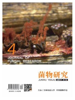 菌物研究