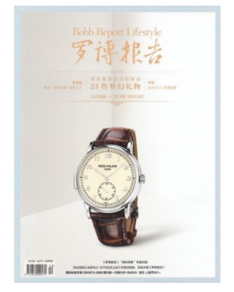 罗博报告