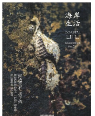 海岸生活