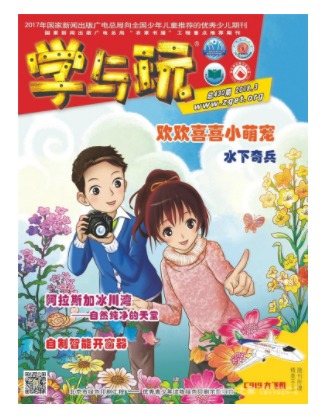 学与玩