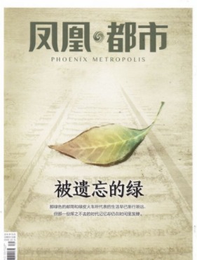 凤凰都市