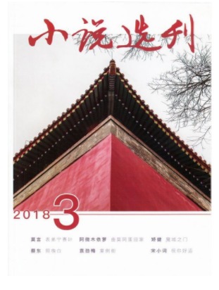 小说选刊