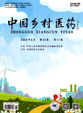 中国乡村医药