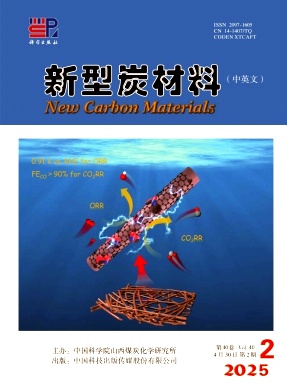 新型炭材料