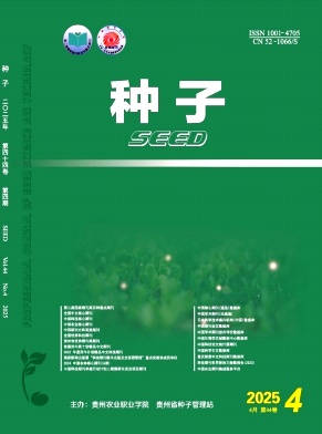 种子