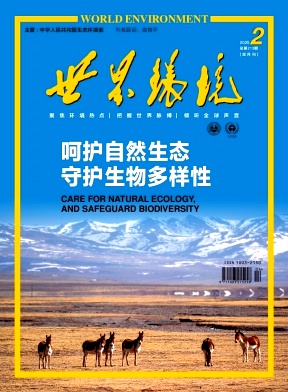 世界环境
