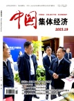 中国集体经济