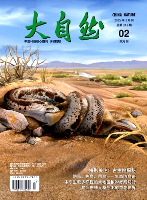 大自然