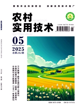 农村实用技术