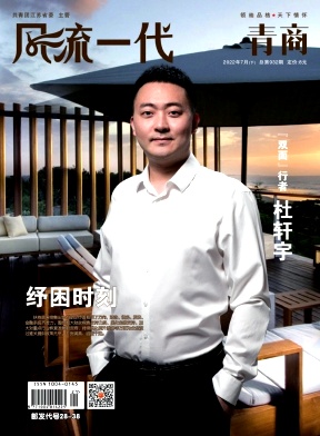 风流一代