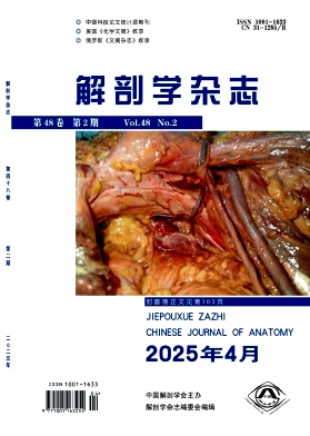 解剖学